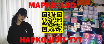 стаф Донской