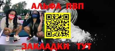 стаф Донской