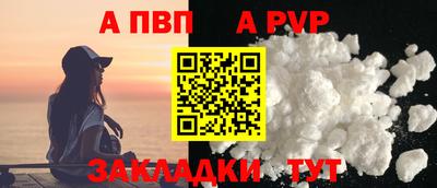 стаф Донской