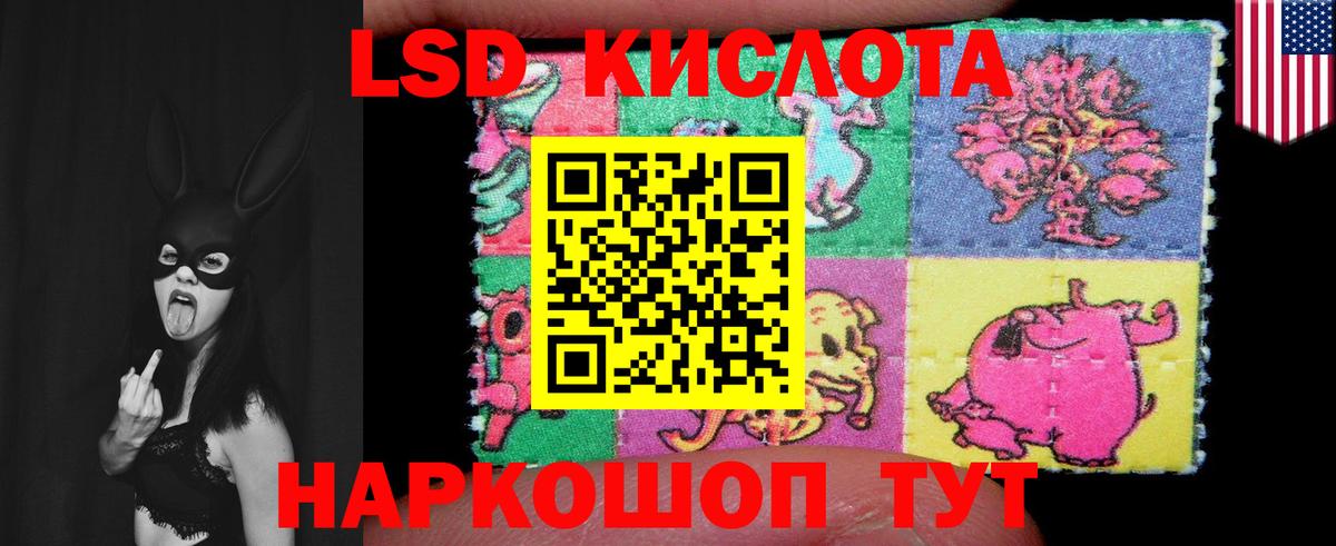 Новосибирск  Лсд 25 экстази кислота  ЛСД экстази кислота  Вход с VPN 