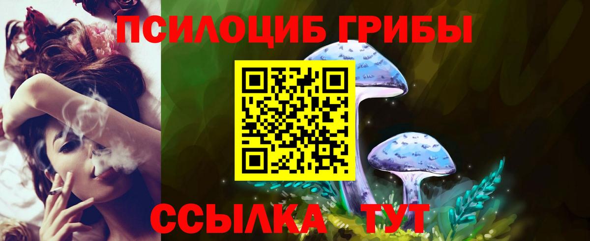 Галлюциногенные грибы MAGIC MUSHROOMS Новосибирск